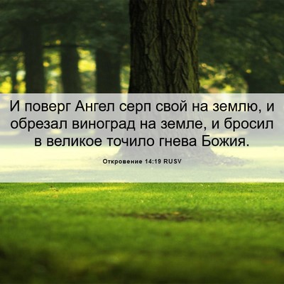 Picture 06 - Откровение 14:19 RUSV - И поверг Ангел серп свой на - Bible Verse Picture