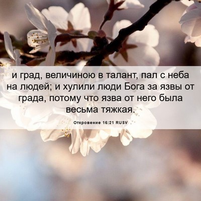 Picture 06 - Откровение 16:21 RUSV - и град, величиною в талант, - Bible Verse Picture