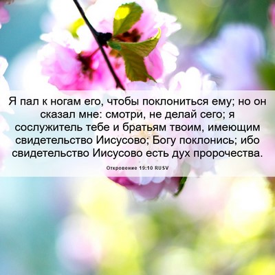 Picture 06 - Откровение 19:10 RUSV - Я пал к ногам его, чтобы - Bible Verse Picture