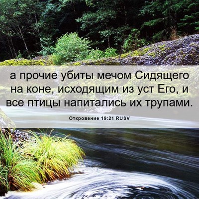 Picture 06 - Откровение 19:21 RUSV - а прочие убиты мечом - Bible Verse Picture