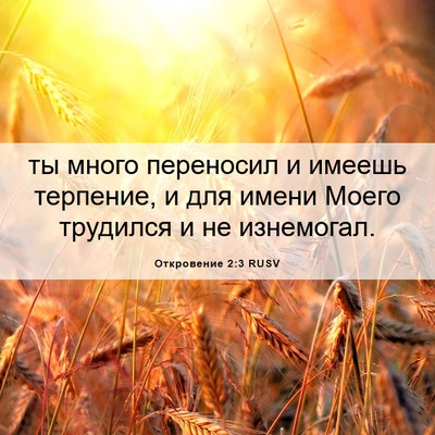 Picture 06 - Откровение 2:3 RUSV - ты много переносил и - Bible Verse Picture