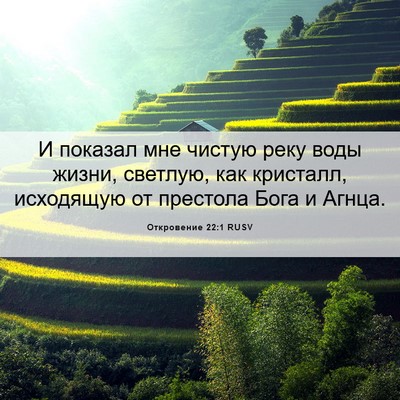 Picture 06 - Откровение 22:1 RUSV - И показал мне чистую реку - Bible Verse Picture