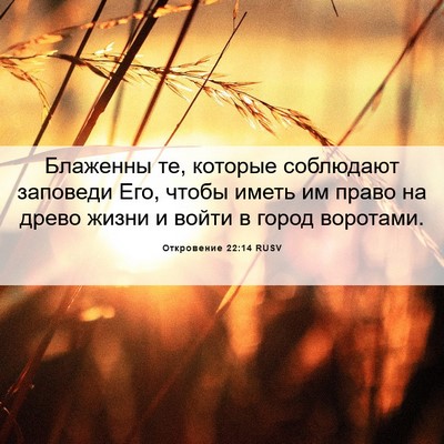 Picture 06 - Откровение 22:14 RUSV - Блаженны те, которые - Bible Verse Picture