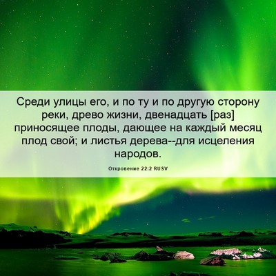Picture 06 - Откровение 22:2 RUSV - Среди улицы его, и по ту и - Bible Verse Picture