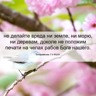 Picture 06 - Откровение 7:3 RUSV - не делайте вреда ни земле, - Bible Verse Picture