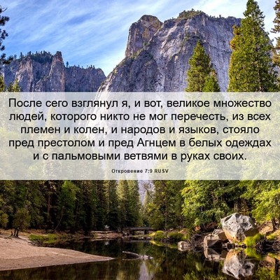 Picture 06 - Откровение 7:9 RUSV - После сего взглянул я, и - Bible Verse Picture
