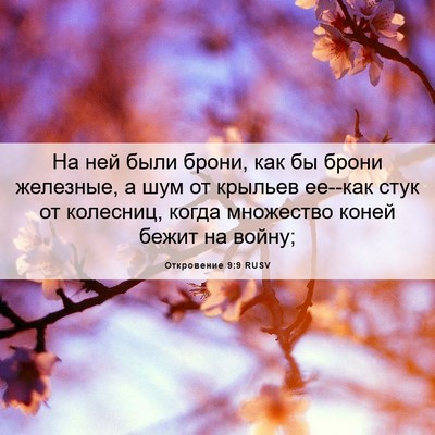 Picture 06 - Откровение 9:9 RUSV - На ней были брони, как бы - Bible Verse Picture