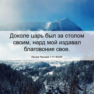 Picture 06 - Песни Песней 1:11 RUSV - Доколе царь был за столом - Bible Verse Picture