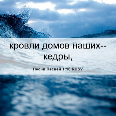 Picture 06 - Песни Песней 1:16 RUSV - кровли домов - Bible Verse Picture