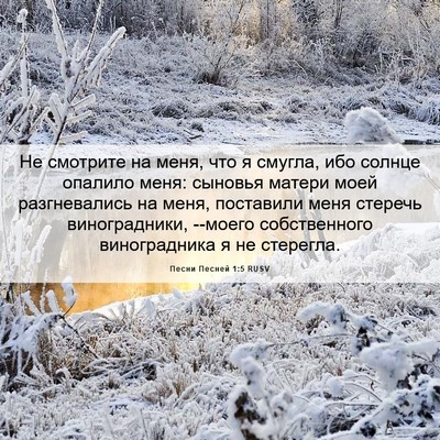 Picture 06 - Песни Песней 1:5 RUSV - Не смотрите на меня, что я - Bible Verse Picture
