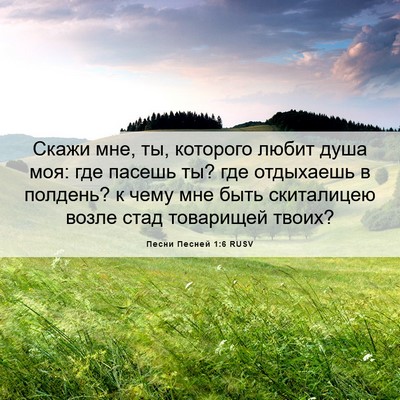 Picture 06 - Песни Песней 1:6 RUSV - Скажи мне, ты, которого - Bible Verse Picture