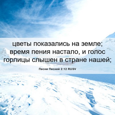 Picture 06 - Песни Песней 2:12 RUSV - цветы показались на земле; - Bible Verse Picture