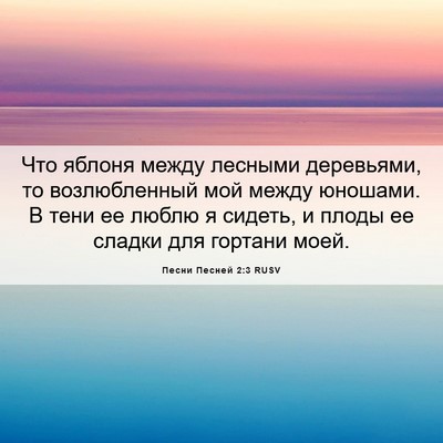 Picture 06 - Песни Песней 2:3 RUSV - Что яблоня между лесными - Bible Verse Picture