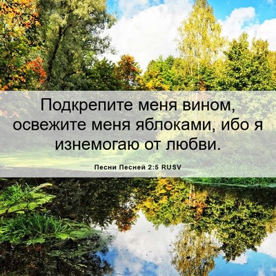 Picture 06 - Песни Песней 2:5 RUSV - Подкрепите меня вином, - Bible Verse Picture