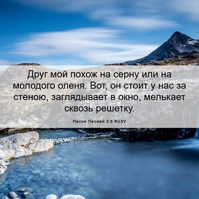 Picture 06 - Песни Песней 2:9 RUSV - Друг мой похож на серну или - Bible Verse Picture
