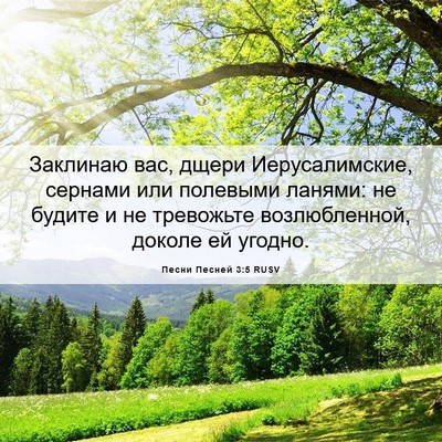 Picture 06 - Песни Песней 3:5 RUSV - Заклинаю вас, дщери - Bible Verse Picture