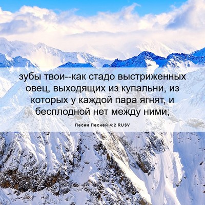 Picture 06 - Песни Песней 4:2 RUSV - зубы твои--как стадо - Bible Verse Picture