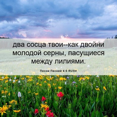 Picture 06 - Песни Песней 4:5 RUSV - два сосца твои--как двойни - Bible Verse Picture