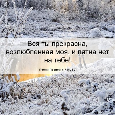 Picture 06 - Песни Песней 4:7 RUSV - Вся ты прекрасна, - Bible Verse Picture
