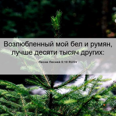 Picture 06 - Песни Песней 5:10 RUSV - Возлюбленный мой бел и - Bible Verse Picture