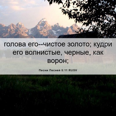 Picture 06 - Песни Песней 5:11 RUSV - голова его--чистое золото; - Bible Verse Picture