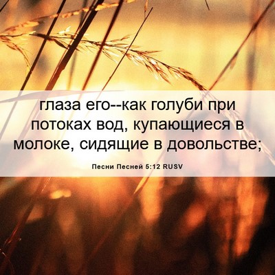Picture 06 - Песни Песней 5:12 RUSV - глаза его--как голуби при - Bible Verse Picture