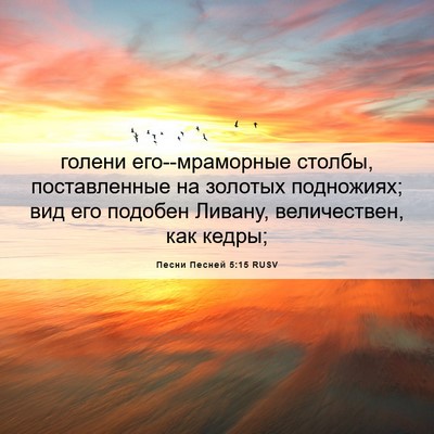 Picture 06 - Песни Песней 5:15 RUSV - голени его--мраморные - Bible Verse Picture