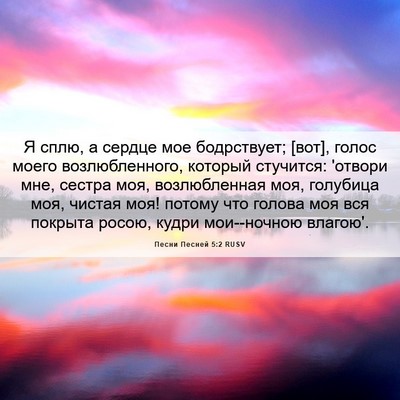 Picture 06 - Песни Песней 5:2 RUSV - Я сплю, а сердце мое - Bible Verse Picture