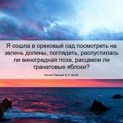 Picture 06 - Песни Песней 6:11 RUSV - Я сошла в ореховый сад - Bible Verse Picture