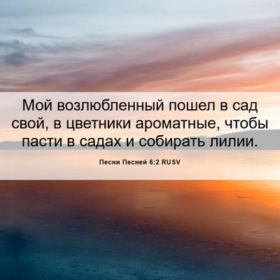 Picture 06 - Песни Песней 6:2 RUSV - Мой возлюбленный пошел в - Bible Verse Picture