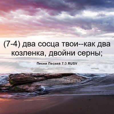 Picture 06 - Песни Песней 7:3 RUSV - (7-4) два сосца твои--как два - Bible Verse Picture