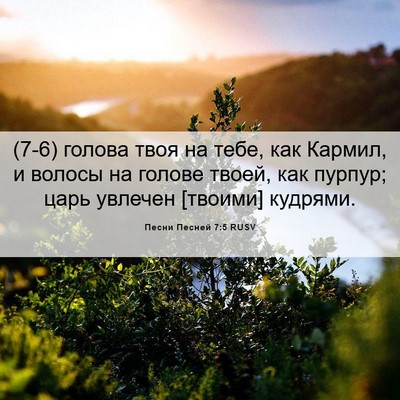 Picture 06 - Песни Песней 7:5 RUSV - (7-6) голова твоя на тебе, как - Bible Verse Picture