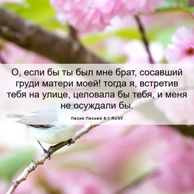 Picture 06 - Песни Песней 8:1 RUSV - О, если бы ты был мне брат, - Bible Verse Picture