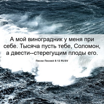 Picture 06 - Песни Песней 8:12 RUSV - А мой виноградник у меня - Bible Verse Picture