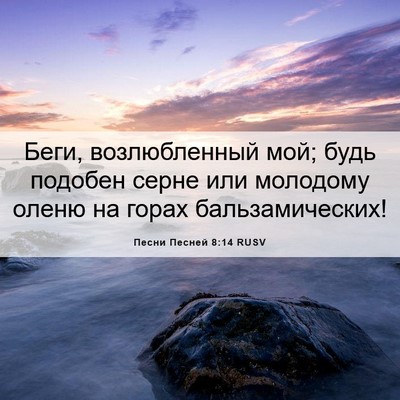 Picture 06 - Песни Песней 8:14 RUSV - Беги, возлюбленный мой; - Bible Verse Picture