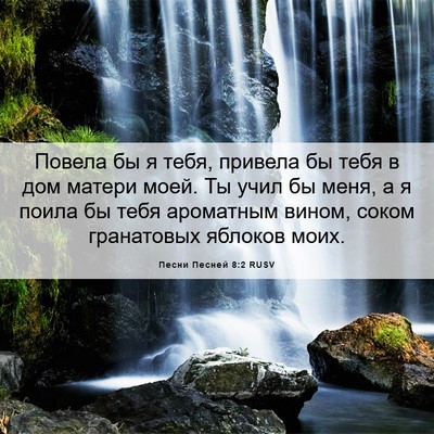 Picture 06 - Песни Песней 8:2 RUSV - Повела бы я тебя, привела - Bible Verse Picture