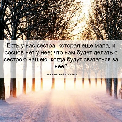 Picture 06 - Песни Песней 8:8 RUSV - Есть у нас сестра, которая - Bible Verse Picture