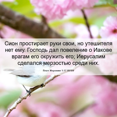 Picture 06 - Плач Иеремии 1:17 RUSV - Сион простирает руки свои, - Bible Verse Picture