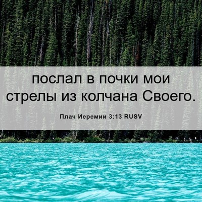 Picture 06 - Плач Иеремии 3:13 RUSV - послал в почки мои стрелы - Bible Verse Picture