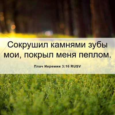 Picture 06 - Плач Иеремии 3:16 RUSV - Сокрушил камнями зубы мои, - Bible Verse Picture