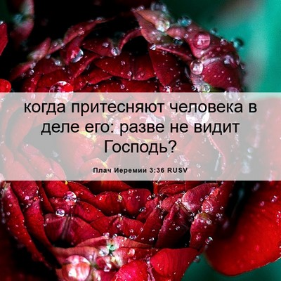 Picture 06 - Плач Иеремии 3:36 RUSV - когда притесняют человека - Bible Verse Picture