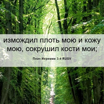 Picture 06 - Плач Иеремии 3:4 RUSV - измождил плоть мою и кожу - Bible Verse Picture