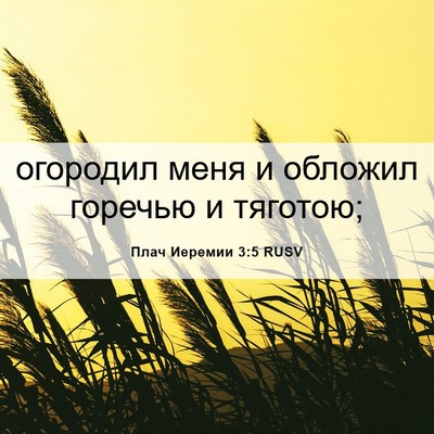 Picture 06 - Плач Иеремии 3:5 RUSV - огородил меня и обложил - Bible Verse Picture