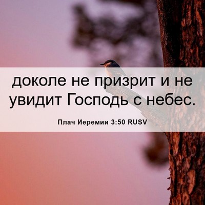 Picture 06 - Плач Иеремии 3:50 RUSV - доколе не призрит и не - Bible Verse Picture