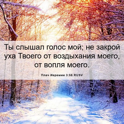 Picture 06 - Плач Иеремии 3:56 RUSV - Ты слышал голос мой; не - Bible Verse Picture
