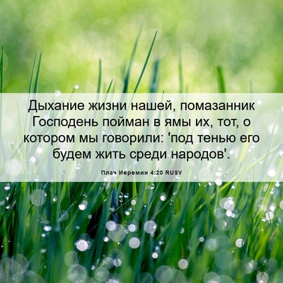Picture 06 - Плач Иеремии 4:20 RUSV - Дыхание жизни нашей, - Bible Verse Picture