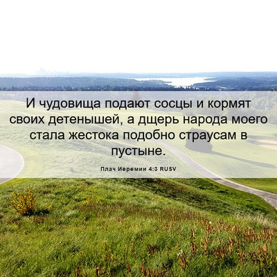 Picture 06 - Плач Иеремии 4:3 RUSV - И чудовища подают сосцы и - Bible Verse Picture