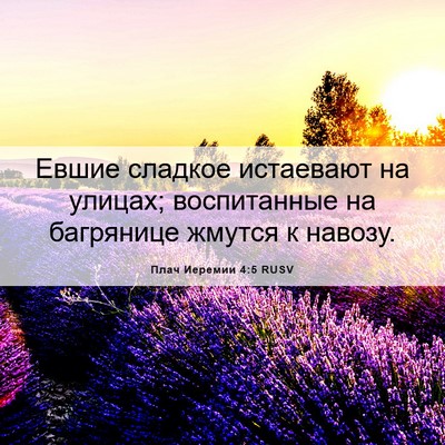 Picture 06 - Плач Иеремии 4:5 RUSV - Евшие сладкое истаевают на - Bible Verse Picture