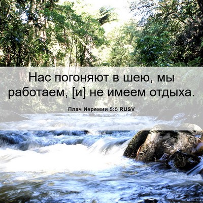 Picture 06 - Плач Иеремии 5:5 RUSV - Нас погоняют в шею, мы - Bible Verse Picture