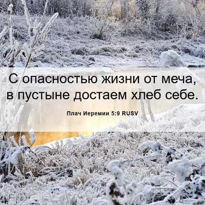 Picture 06 - Плач Иеремии 5:9 RUSV - С опасностью жизни от меча, - Bible Verse Picture